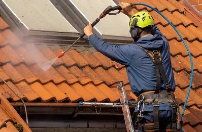 Démoussage et hydrofuge de toiture au Roc
